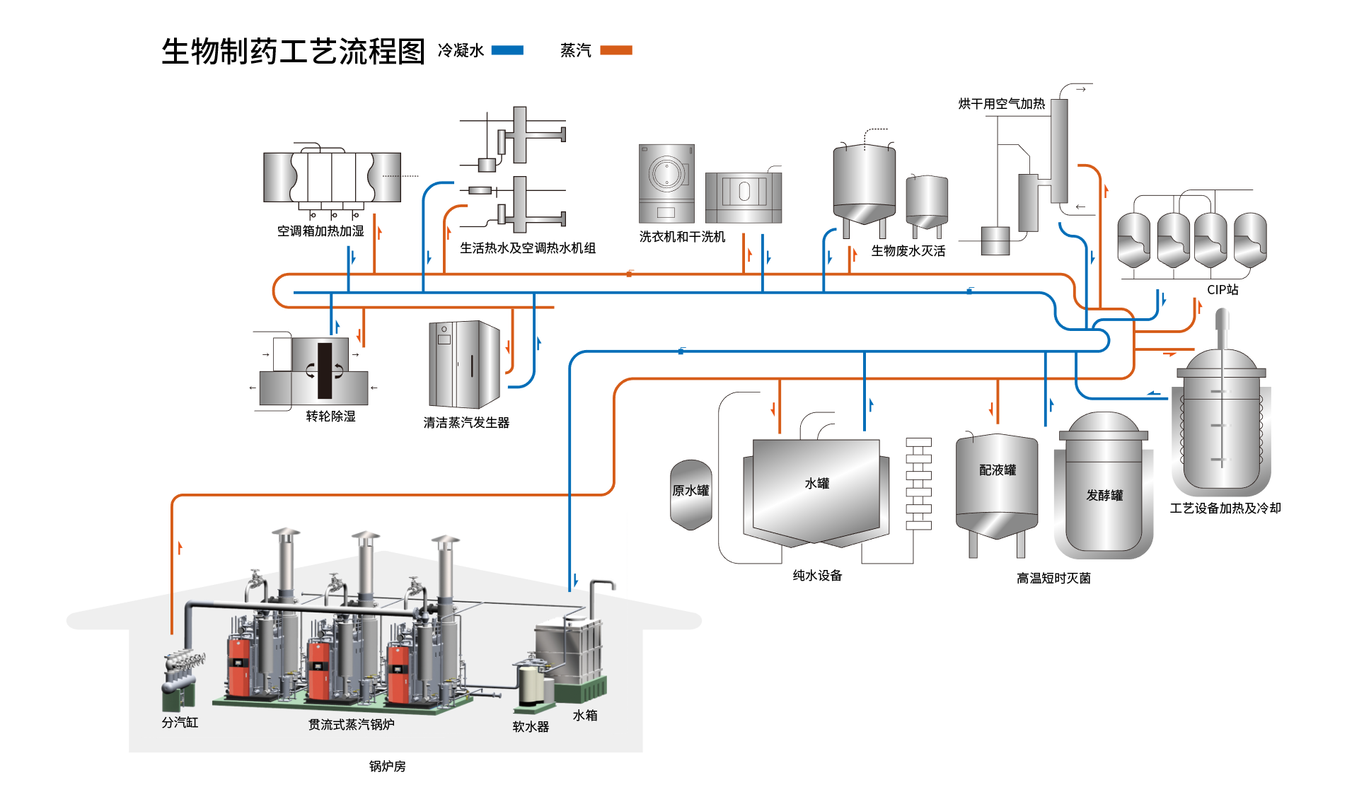 生物制药工艺流程图.png