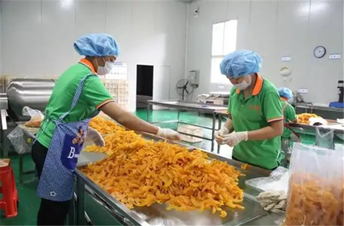 蒸汽发生器
